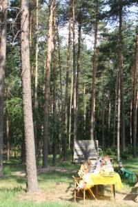 Праздничный стол накрытый прихожанами к Престольному празднику